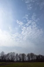 IMG_7673.jpg