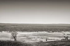 IMG_7775-чб-ред-градиент-колодиум.webp