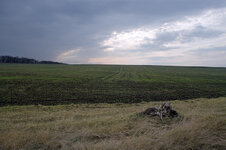 IMG_7872.jpg