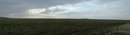 Untitled_Panorama-2.jpg