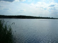 Dscn0001.webp