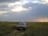 P7190135.webp