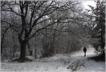 DSC_6957-Edit.webp