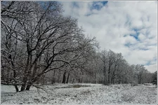 DSC_6966-Edit.webp