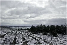 DSC_6985-Edit.webp