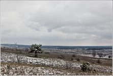DSC_7128-Edit-3.webp