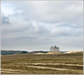 DSC_7302-Edit_crop.webp