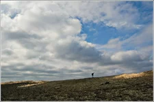 DSC_7325-Edit.webp