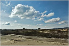 DSC_7393-Edit.webp