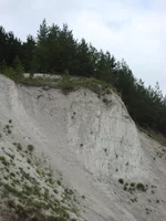 DSC03313.jpg