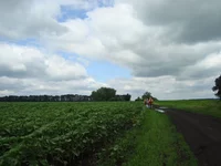 DSC03352.webp