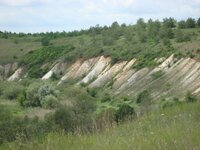 DSC03403.JPG