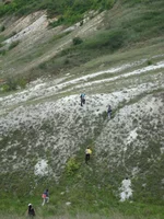 DSC03410.webp