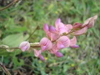 DSC03430.webp