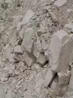 P1016748.webp