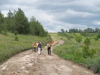 P1016753.webp