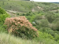 P1016755.JPG