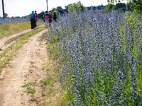 P1016763.jpg