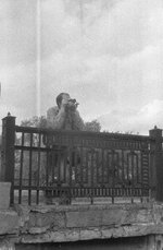 DS120616194827.jpg