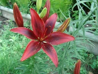 DSC08455.webp