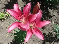 DSC08470.webp