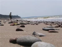 24_Камушки_2.webp