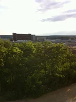  008.webp