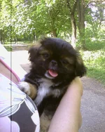 Photo-0074.webp