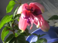 IMG_0002.jpg