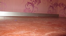 IMG_3392.jpg