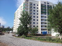 2012-06-21 16.46.48.jpg
