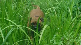 .webp
