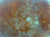 240720111566.jpg