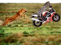 1340528582_01.webp