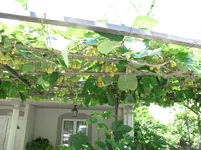 IMG_0622.webp
