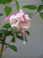 GRUNDI SEE IMG_0774.webp