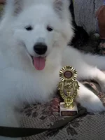 100_2595.webp