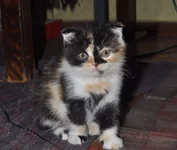 DSC_2985.webp