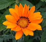cад 028.webp