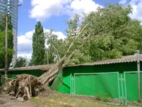 DSC02381.jpg