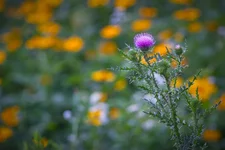 IMG_1096.webp