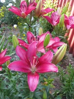 IMG_3659.webp