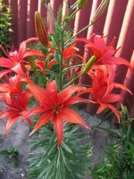 IMG_3668.webp