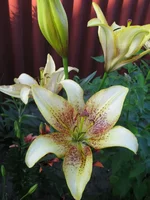 IMG_3673.webp