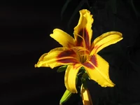 IMG_3700.webp