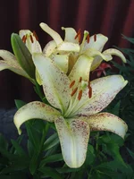 IMG_3674.webp