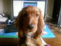.webp