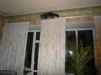 SAM_0123.webp