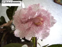 -Милые веснушки.webp