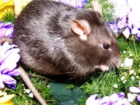 DSCF5982 копия.webp